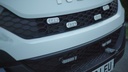 BX31 Grille Lamp