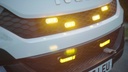 BX31 Grille Lamp
