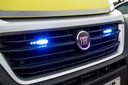 GECKO6 Grille Lamp